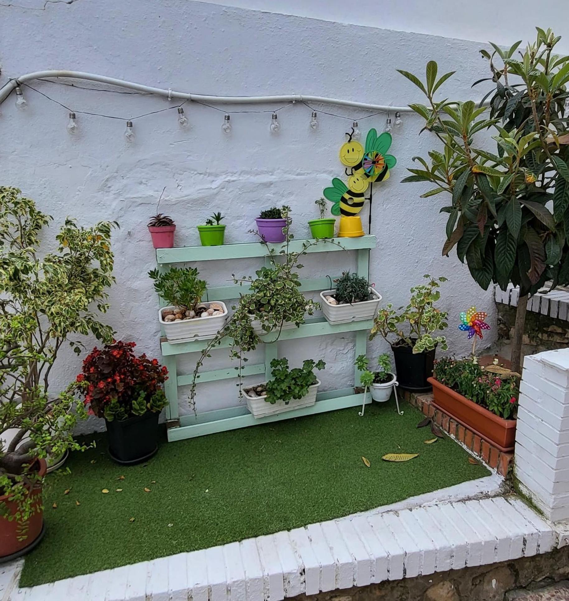 Monte Dorado Apartment *